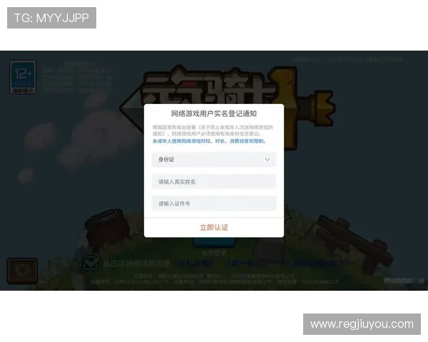 九游登录账号安全保障措施全面升级，确保玩家信息安全无忧