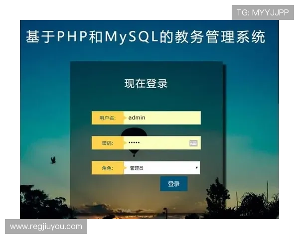 九游账号个人中心登录流程详解帮助用户顺利进入账号管理页面