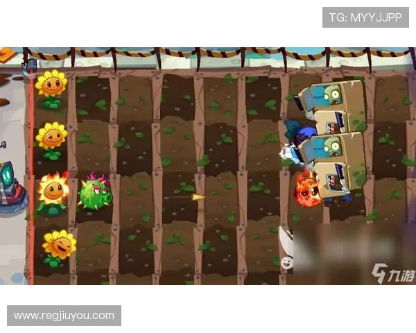 ag九游官网进入方式全攻略，解决玩家登录难题的实用技巧